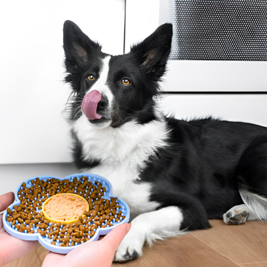 Tapis de lechage chien bleu