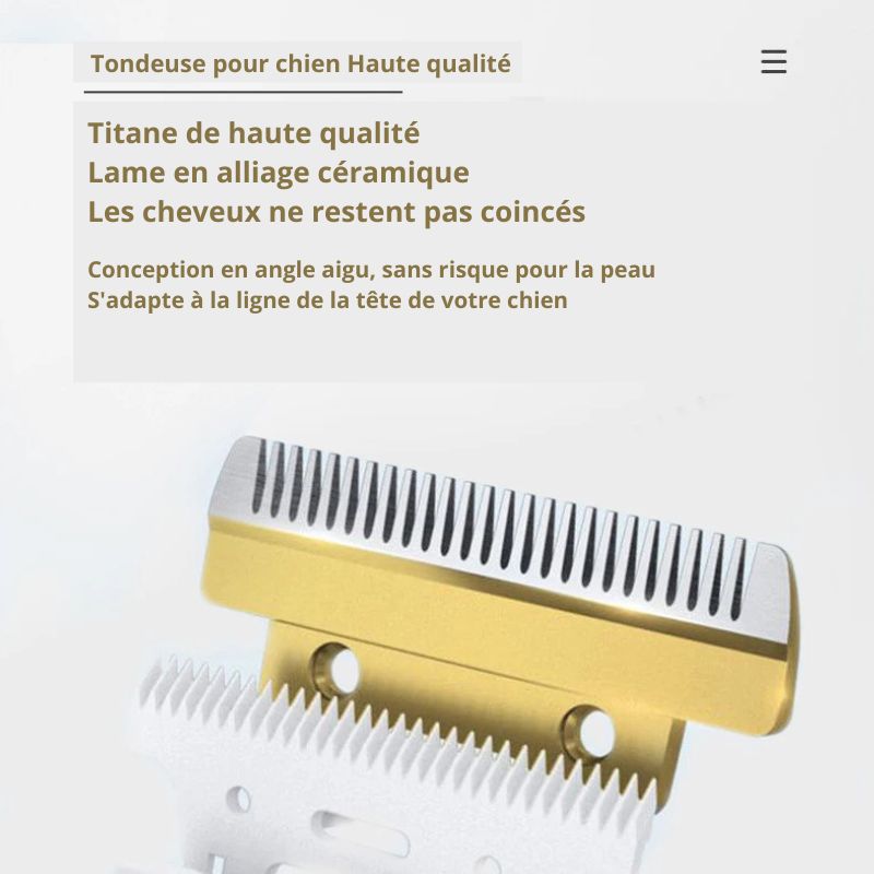 Tondeuse pour chien Haute qualité