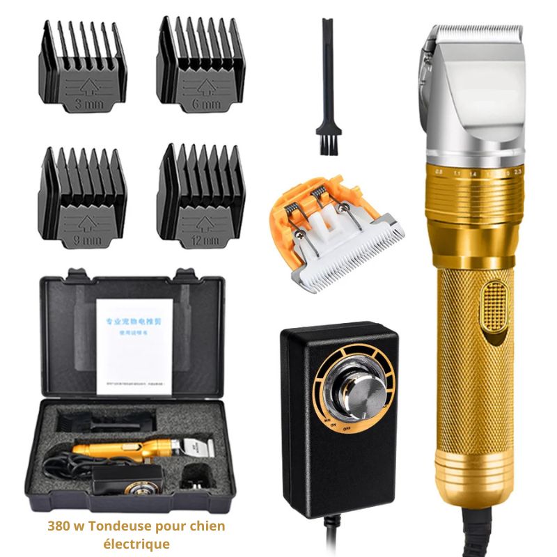 Tondeuse pour chien Professionnelle accessoires