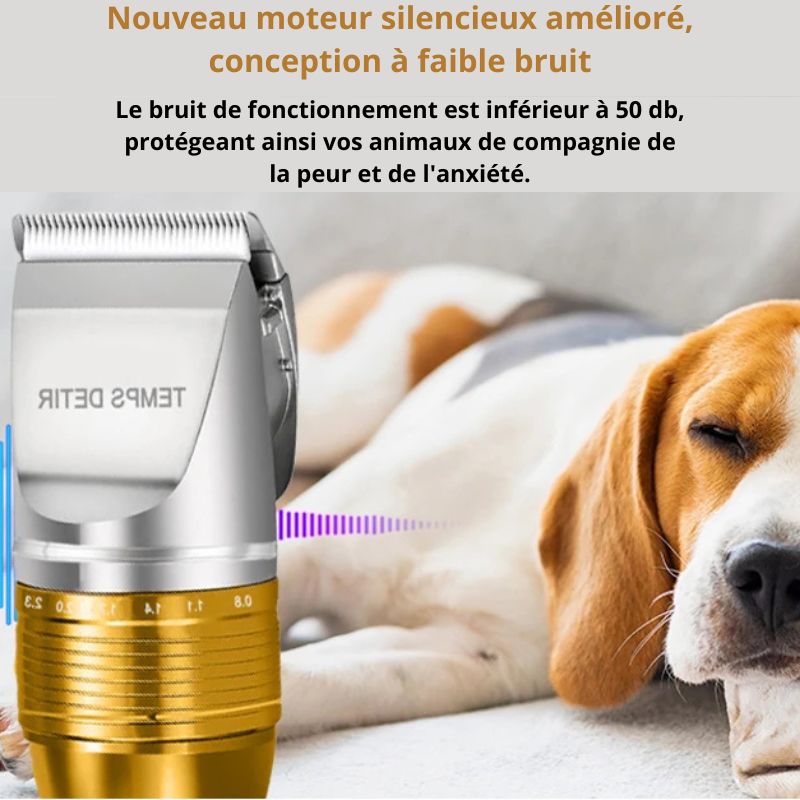 Tondeuse pour chien Professionnelle décibel