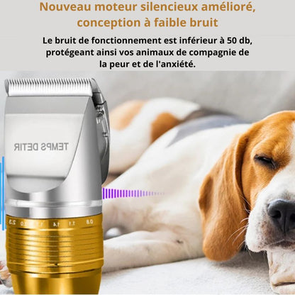 Tondeuse pour chien Professionnelle décibel