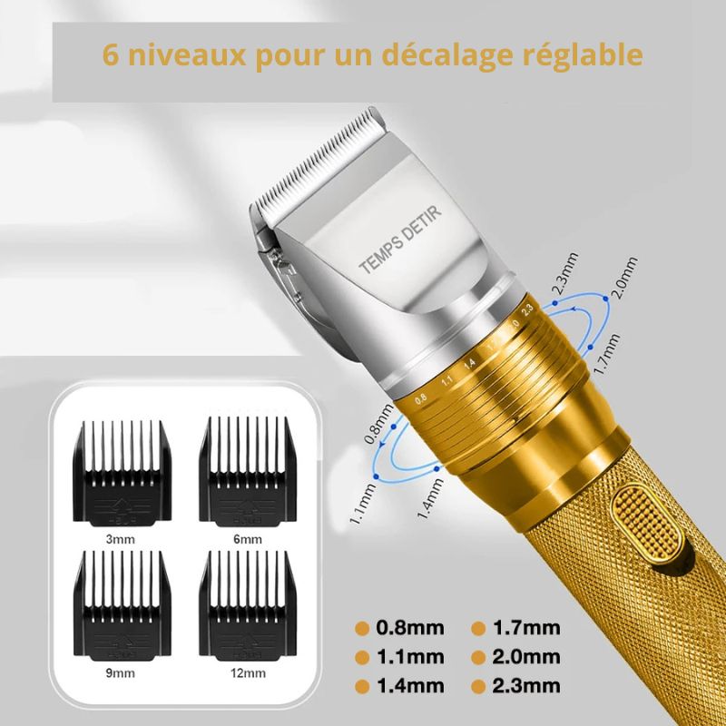 Tondeuse pour chien Professionnelle dorée