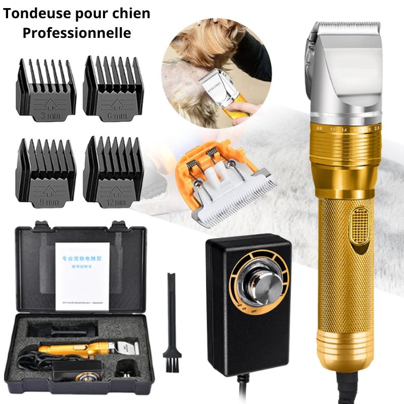 Tondeuse pour chien Professionnelle