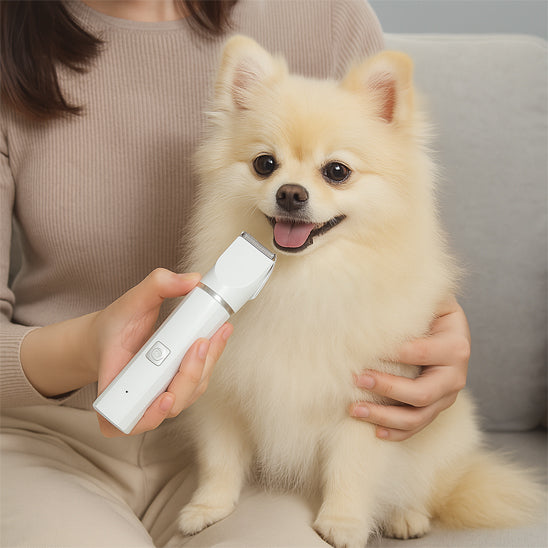 Tondeuse pour chien blanc mignon