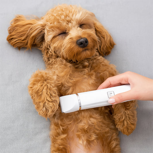 Tondeuse pour chien blanc