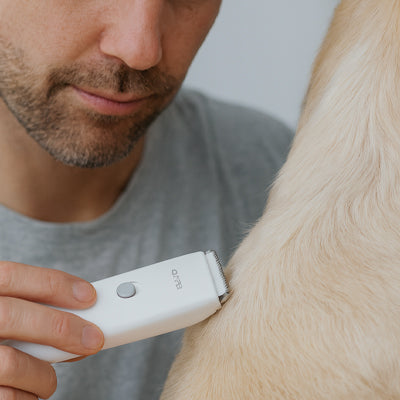 Tondeuse pour chien blanche