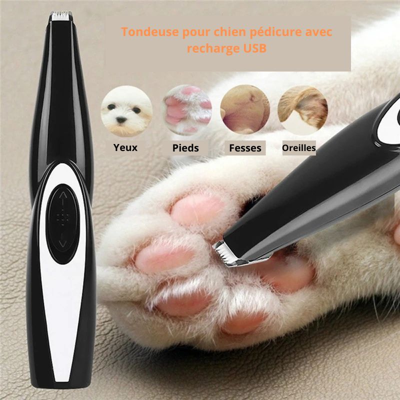 Tondeuse pour chien corps