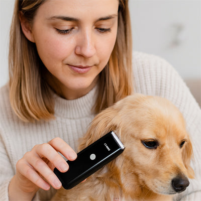 Tondeuse pour chien noir