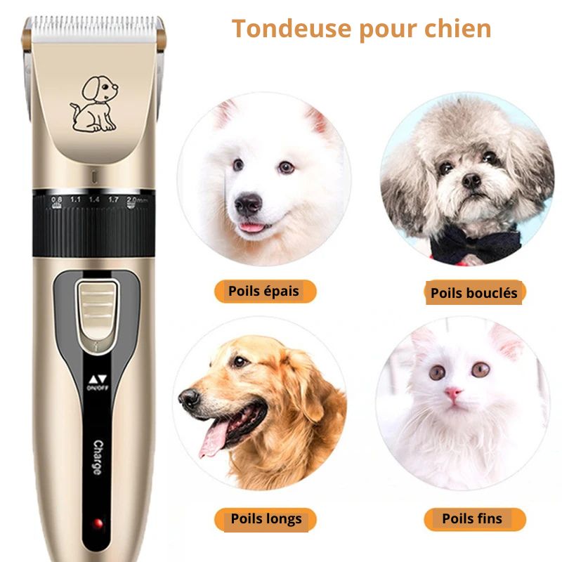 Tondeuse pour chien type