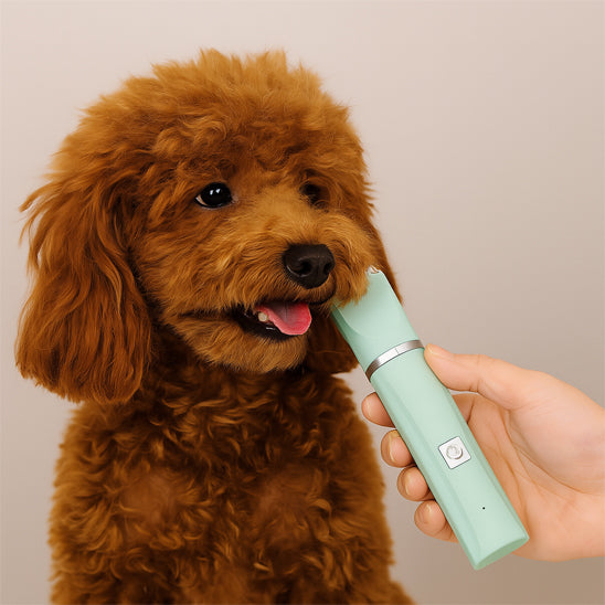 Tondeuse pour chien vert toilettage