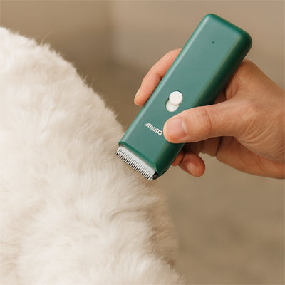 Tondeuse pour chien vert