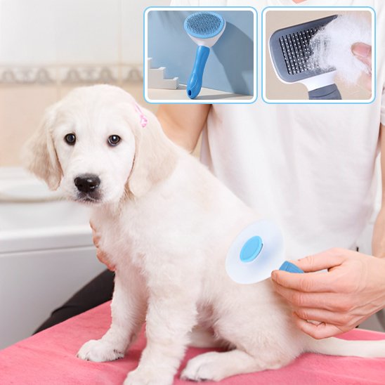 Brosse chien