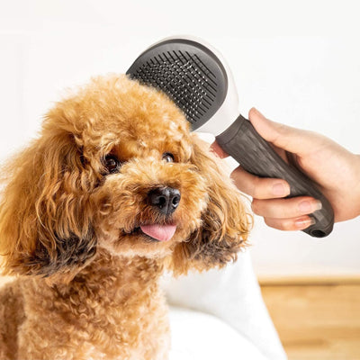 Brosse pour chien | EasyBrush