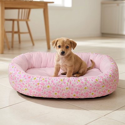 Coussin Chien  confortable