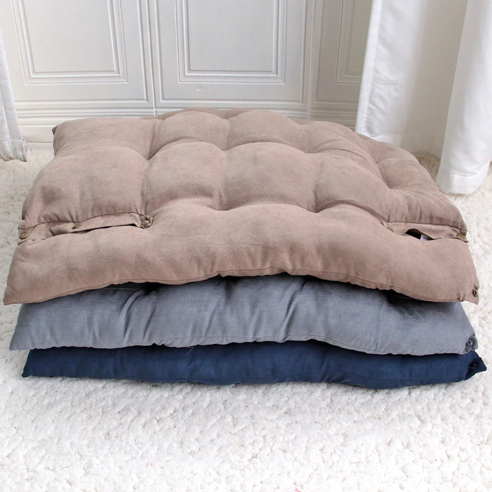 coussin chien marron gris bleu