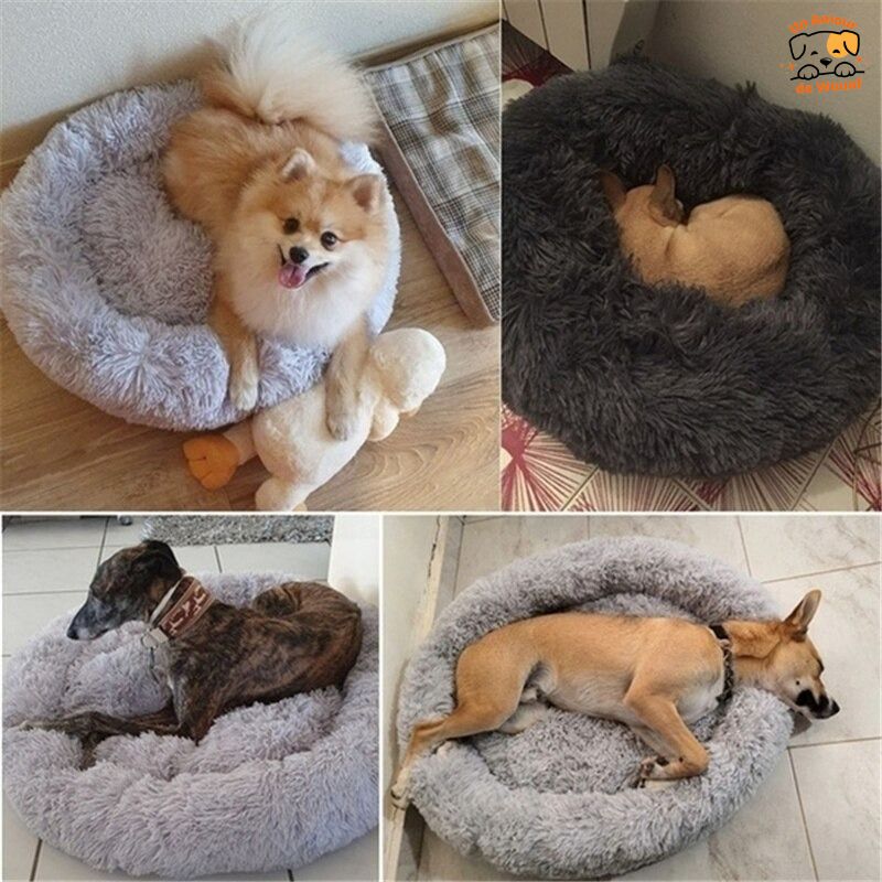 Coussin-chien-Doux