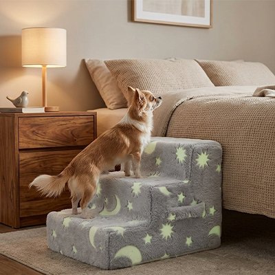 Escalier pour chien lune pratique