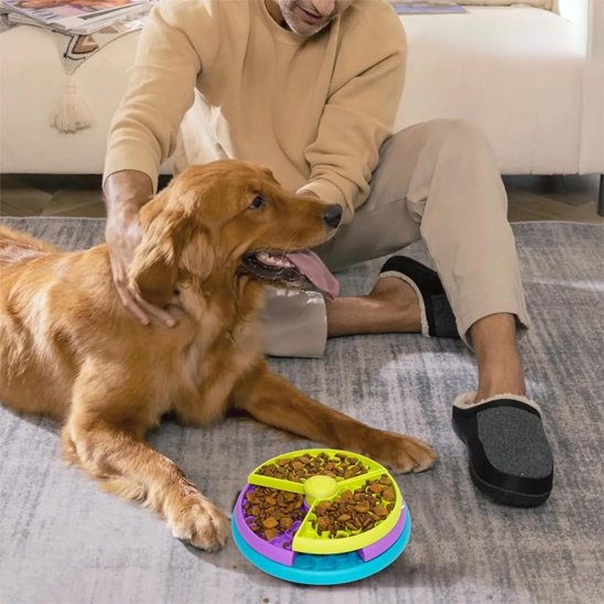 Gamelle anti glouton chien friandises