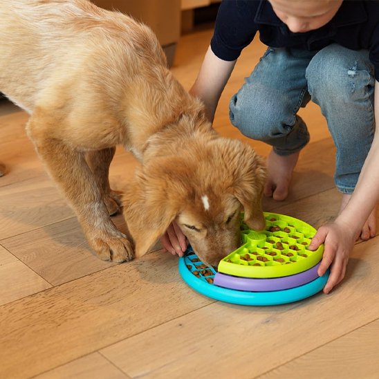 Gamelle anti glouton chien produit