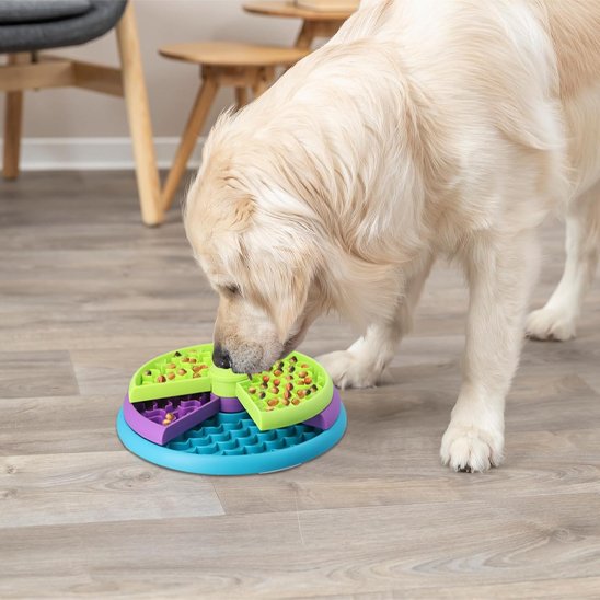 Gamelle anti glouton chien solide