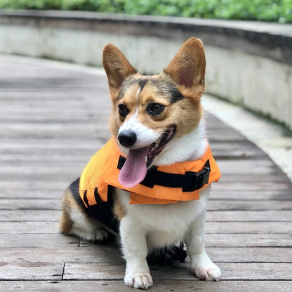 gilet sauvetage orange pour chien orange