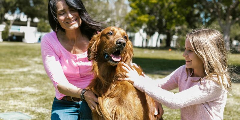 gourde pour chien solide