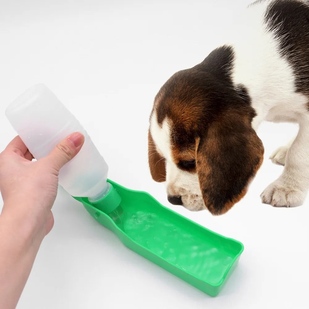 gourde pour chien verte solide
