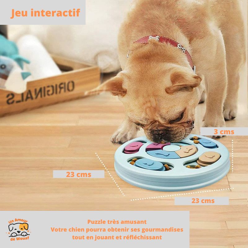 Jeux Chien Puzzle d'Alimentation | DoggyBrain™