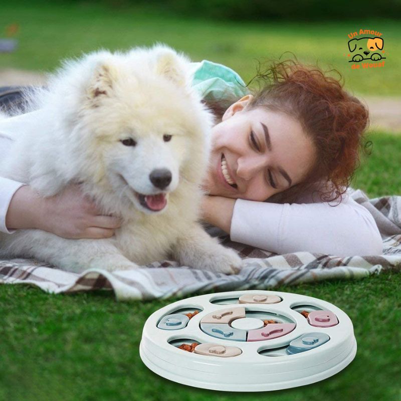 Jeux Chien Puzzle d'Alimentation | DoggyBrain™