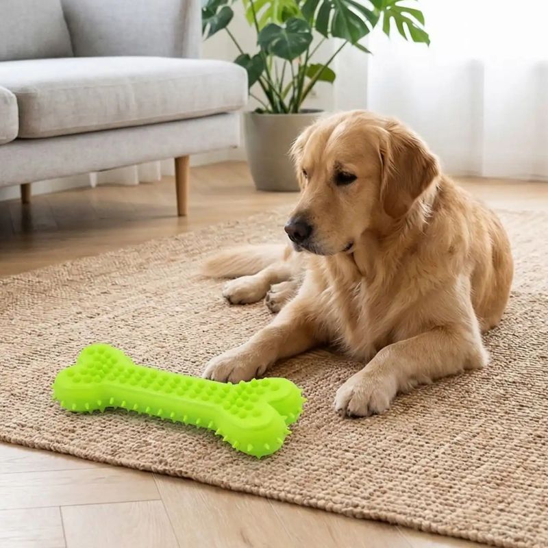 jouet pour chien vert produit