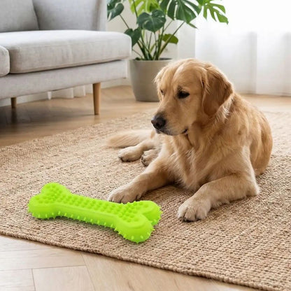 jouet pour chien vert produit