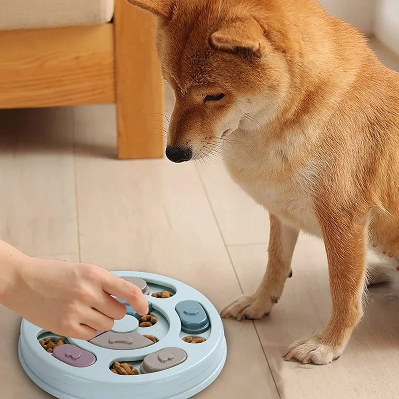 Jeux Chien Puzzle d'Alimentation | DoggyBrain™