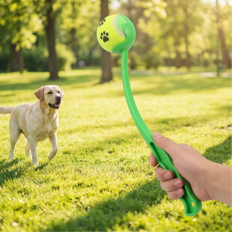Lanceur de balle pour chien | ErgoJet