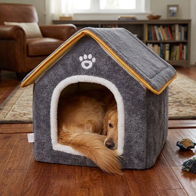 maison pour chien intérieur