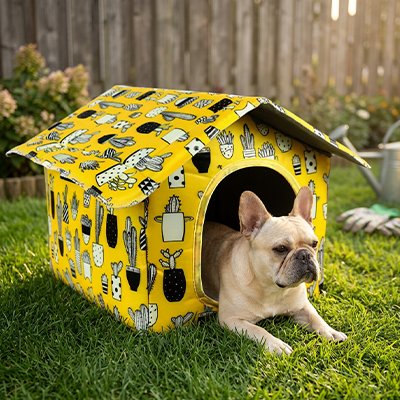 Maison pour chien jaune