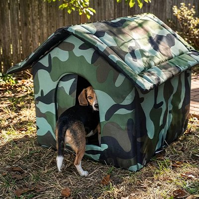 niche chien exterieur  armée