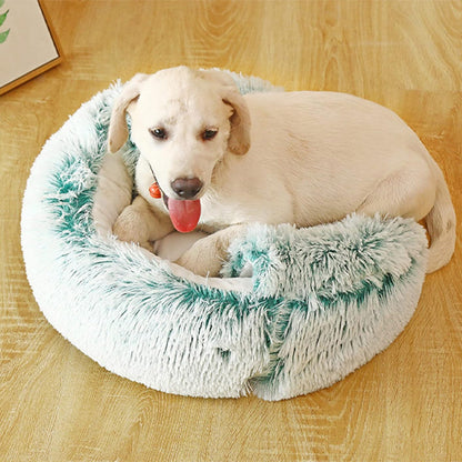 panier chien grotte vert-doux