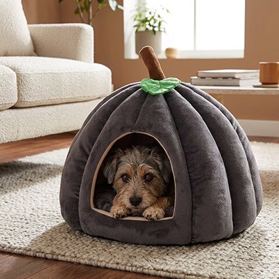 panier pour chien gris