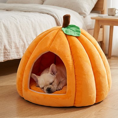 panier pour chien orange