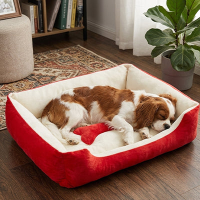 Panier pour Chien 