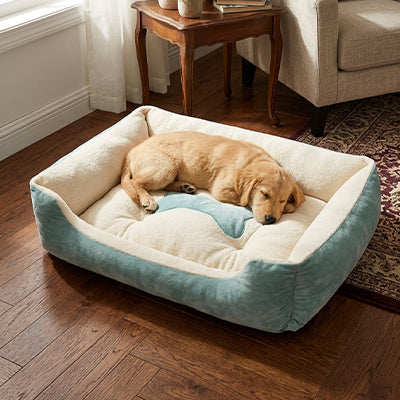 Panier pour Chien 