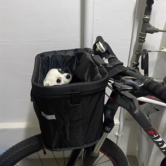 panier velo chien pratique