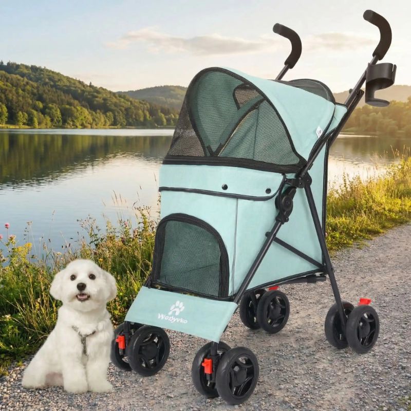 pousserre pour chien verte