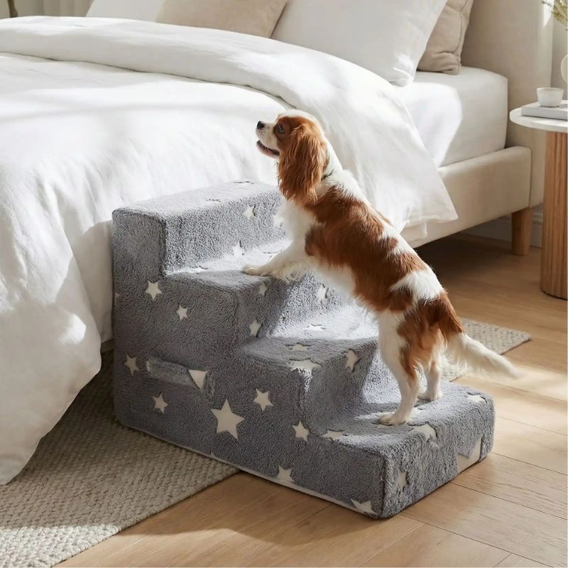 Escalier pour chien | Confort Articulaire