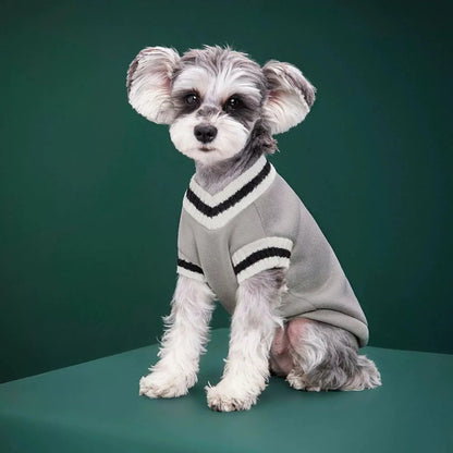 Pull pour chien | WarmGuard