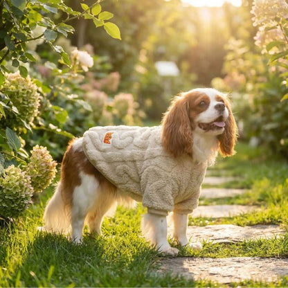 Pull pour chien | Polaire Cozy Winter