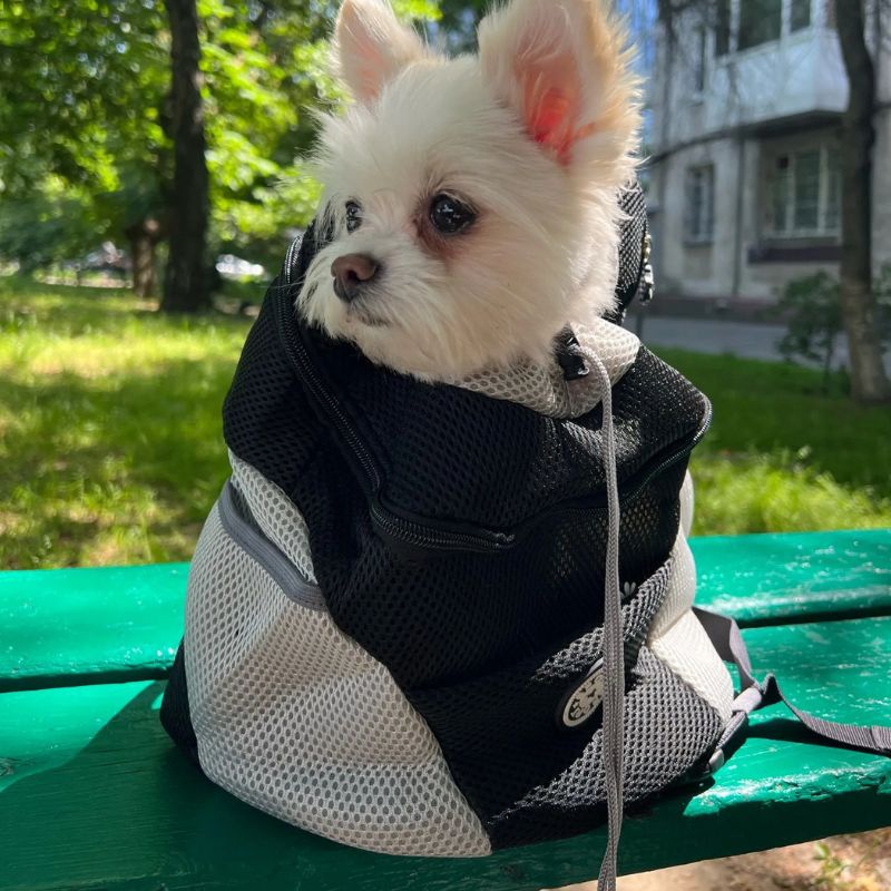 Sac à dos pour chien | BagRoad™