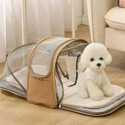 Sac à dos pour chien | Transformable