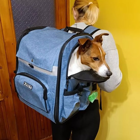 Sac de transport pour chien bleu rando