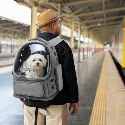 Sac transport Chien gris